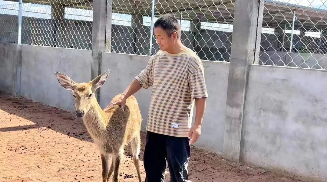 12博平台